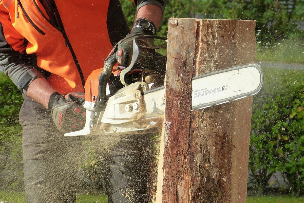 tree service arborist pruning chainsaw
